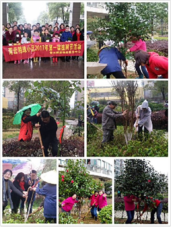 播一片綠林，種一份愛心